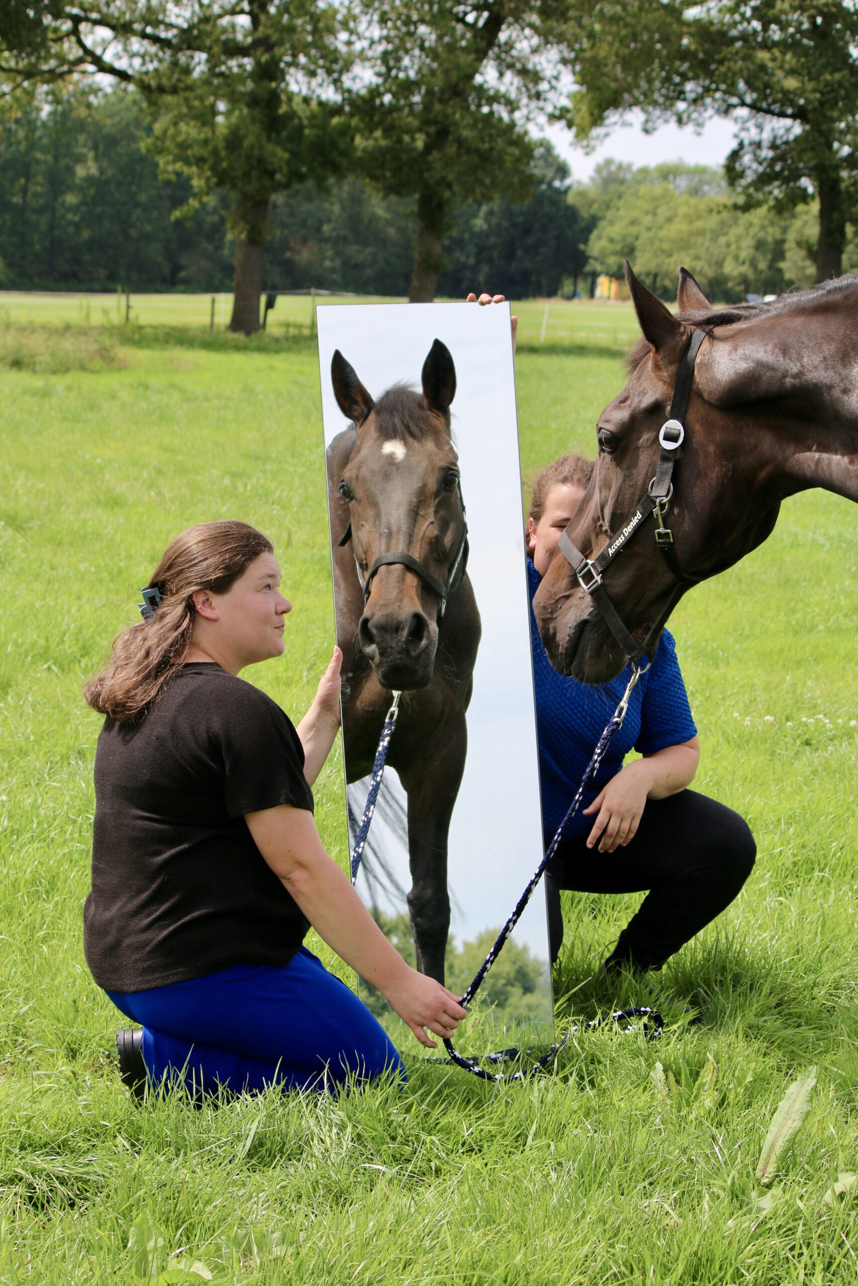 Access Denied - Paardjes & Praatjes